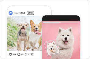 SNS 이미지 꾸미기 예시
